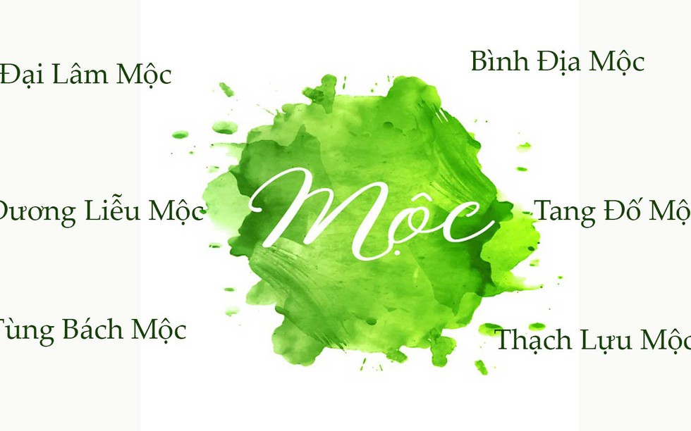 Tùng Bách Mộc là gì? Tại sao đây là mệnh Mộc mạnh nhất?