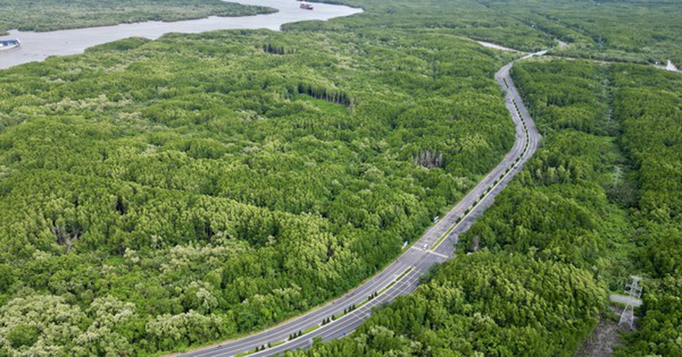 Bổ sung quy định về tạm sử dụng rừng để thi công các dự án cấp thiết