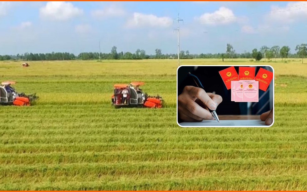 Từ nay, đất lấn chiếm vi phạm vẫn được xem xét cấp sổ đỏ