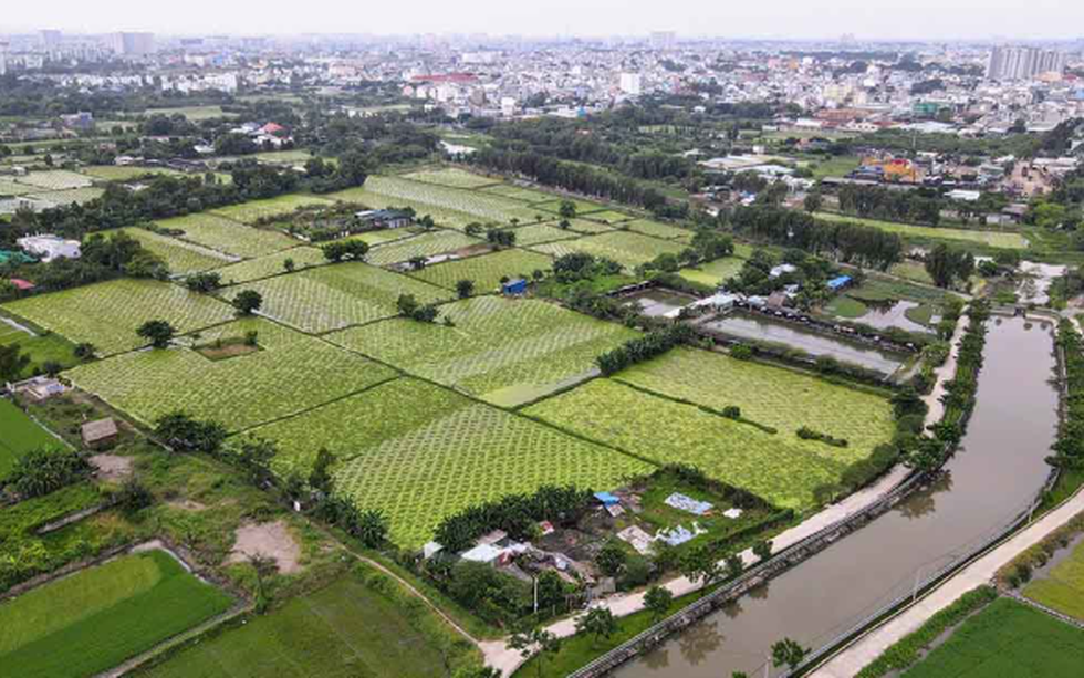 Công viên 25 năm không một bóng người lớn thứ 2 TP. HCM, quy mô 150ha gấp 9 lần Thảo Cầm Viên đón tin vui