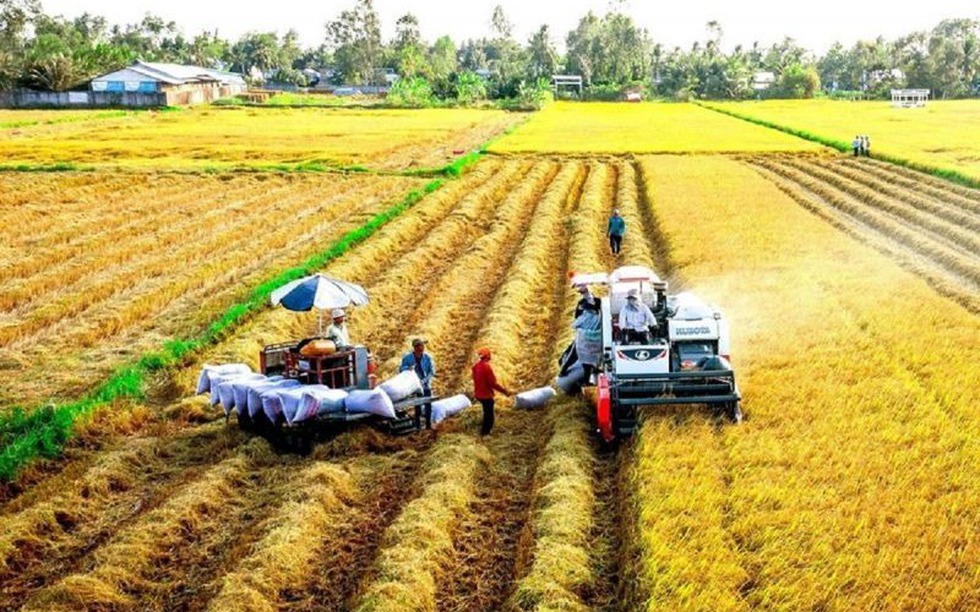 Loạt quy định mới về đất trồng lúa, người dân cần đặc biệt lưu ý