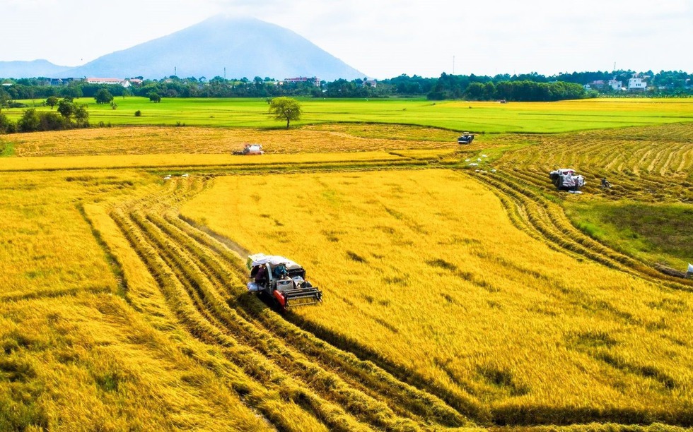 Nhà nước sẽ thu hồi đất nếu doanh nghiệp đạt thỏa thuận trên 75%?