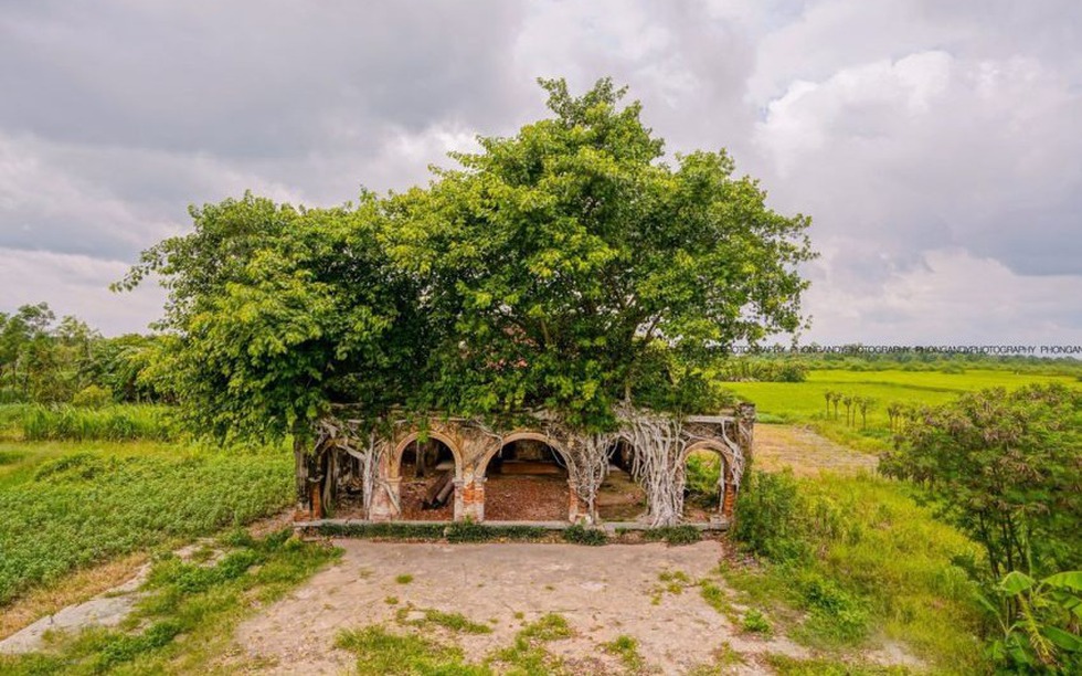 Đình cổ hơn trăm tuổi ‘độc nhất vô nhị’ tại Việt Nam: Được ôm trọn bằng 2 cây bồ đề khổng lồ