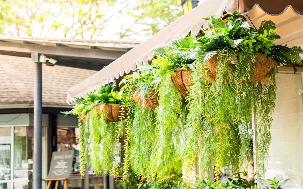 Mách bạn bí quyết trang trí cây treo ban công đẹp và rẻ