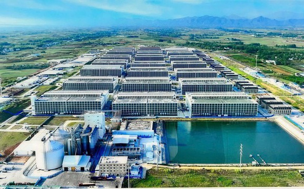 Quỹ đất khan hiếm, chung cư nuôi heo bất ngờ quay lại trên bản đồ quy hoạch