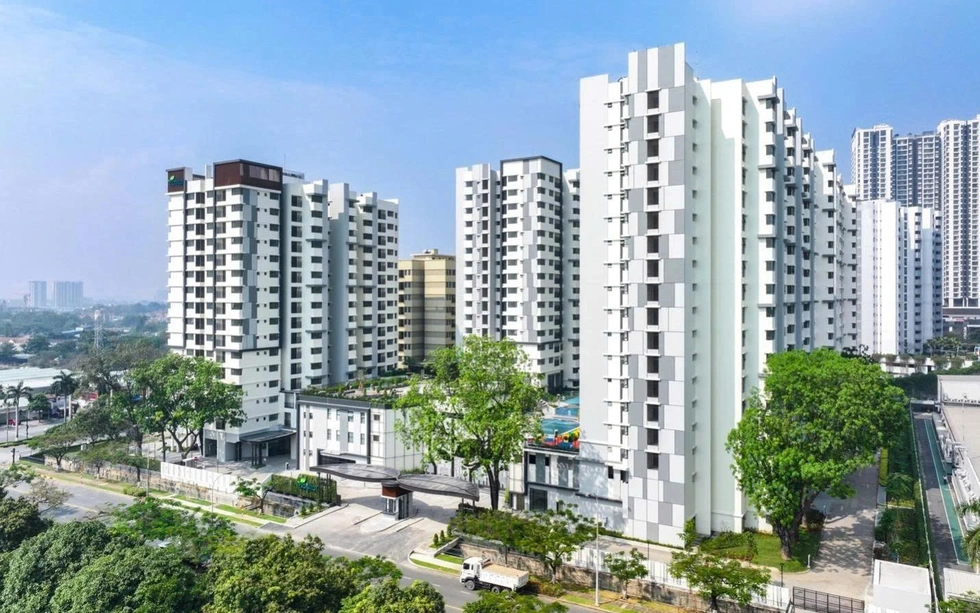 Đâu là lựa chọn sống cân bằng cho thế hệ trẻ và giới chuyên gia?