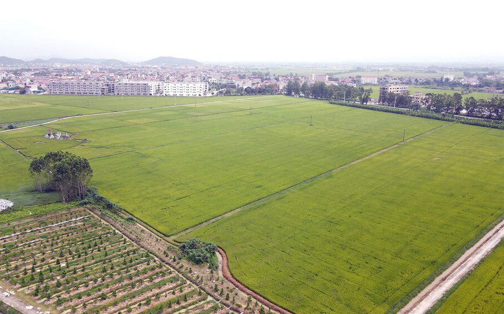 Hà Nội: Thông qua và điều chỉnh hai dự án hạ tầng chiến lược