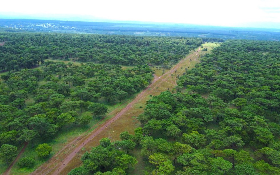 Doanh nghiệp liên quan FLC được chấp thuận đầu tư dự án sân golf hơn 1.000 tỷ tại tỉnh lớn thứ 2 Việt Nam