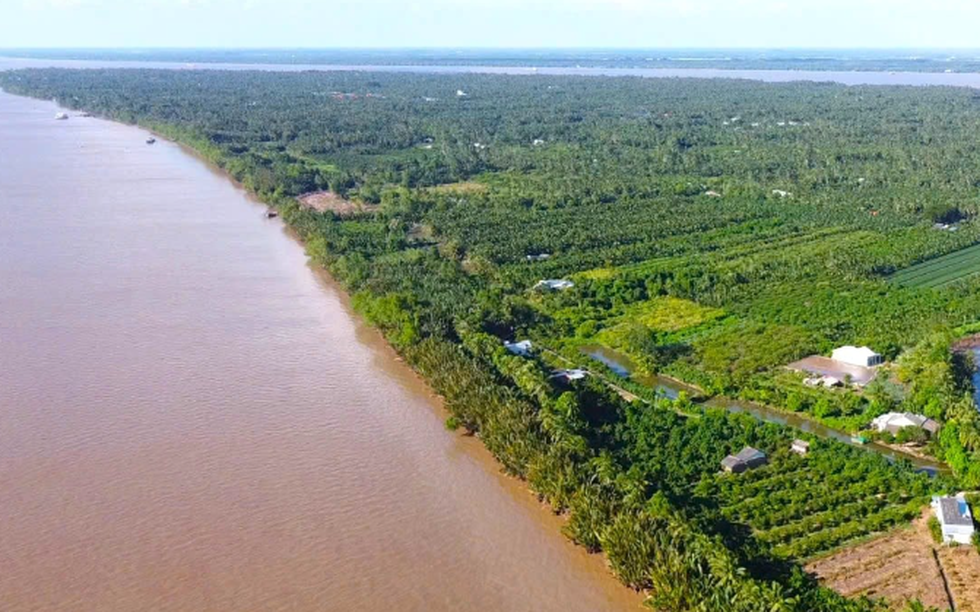 Quy hoạch cù lao được mệnh danh ‘Vương quốc bần’ miền Tây thành trung tâm du lịch sinh thái – nghỉ dưỡng cao cấp