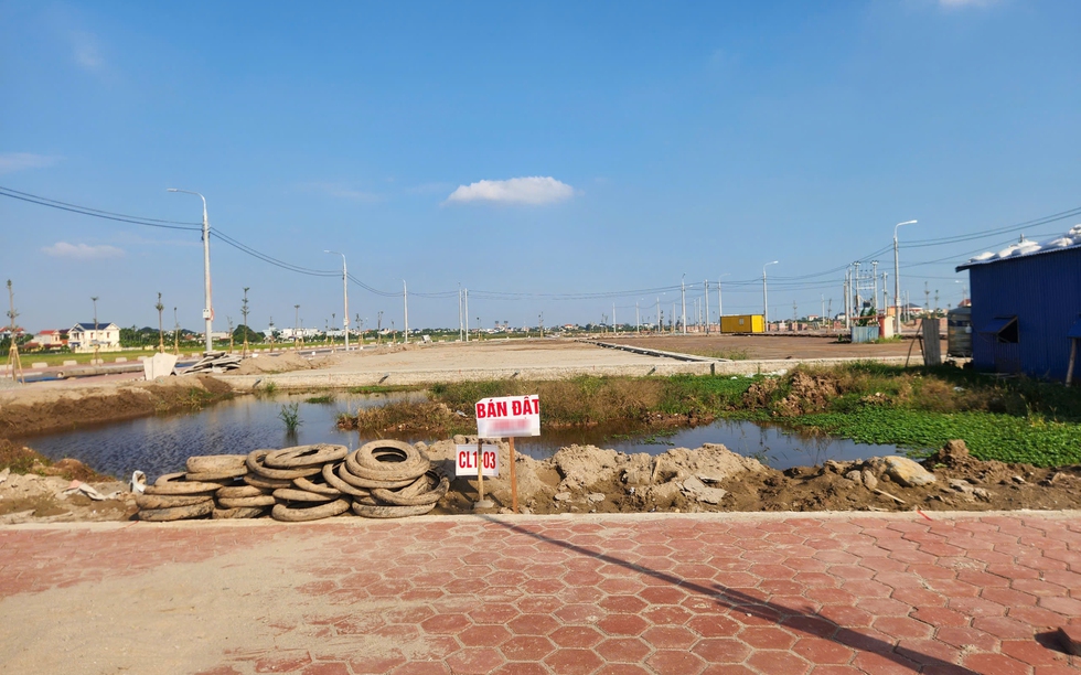 Ninh Bình đấu giá hàng trăm lô đất với giá khởi điểm từ 2,2 triệu đồng/m2