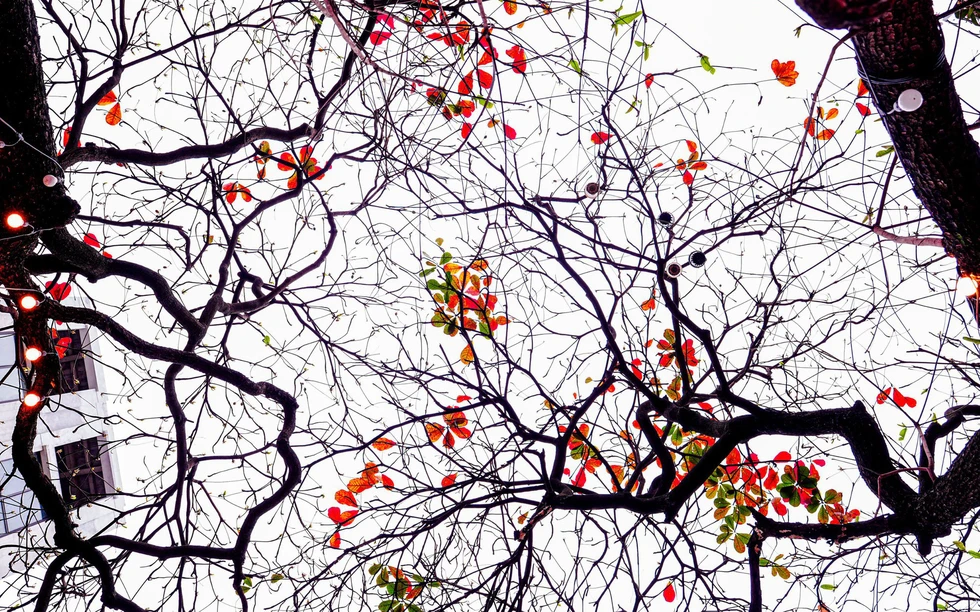 Hà Nội - Khúc giao mùa