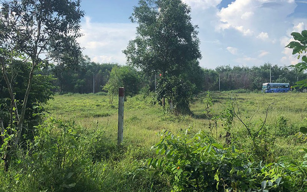 Từ giờ, siết điều kiện tách thửa đất trồng cây lâu năm