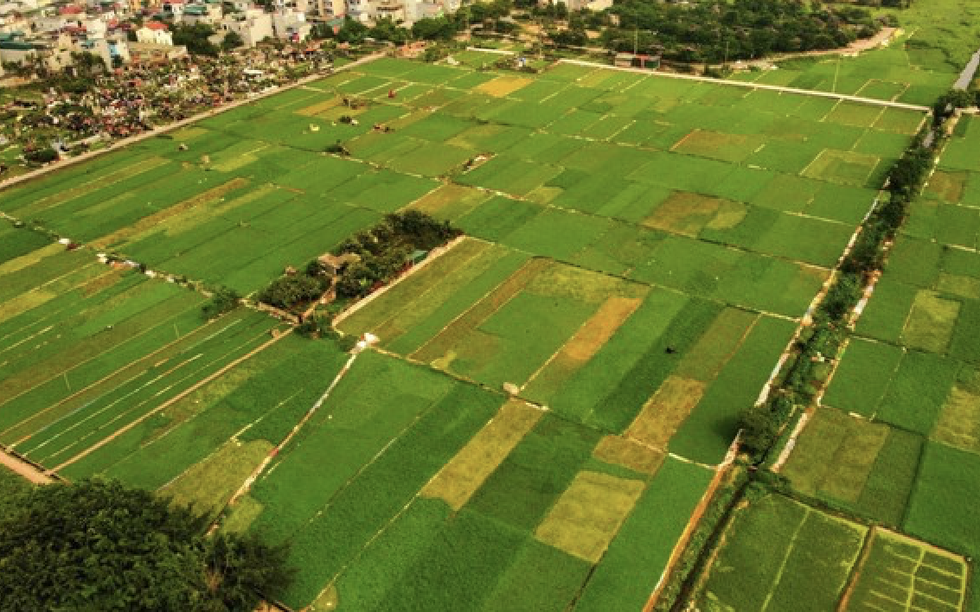 Người dân sẽ được nhận tối đa 500.000.000 đồng khi Nhà nước thu hồi đất: Loại đất gì, áp dụng từ bao giờ, đó là địa phương nào?