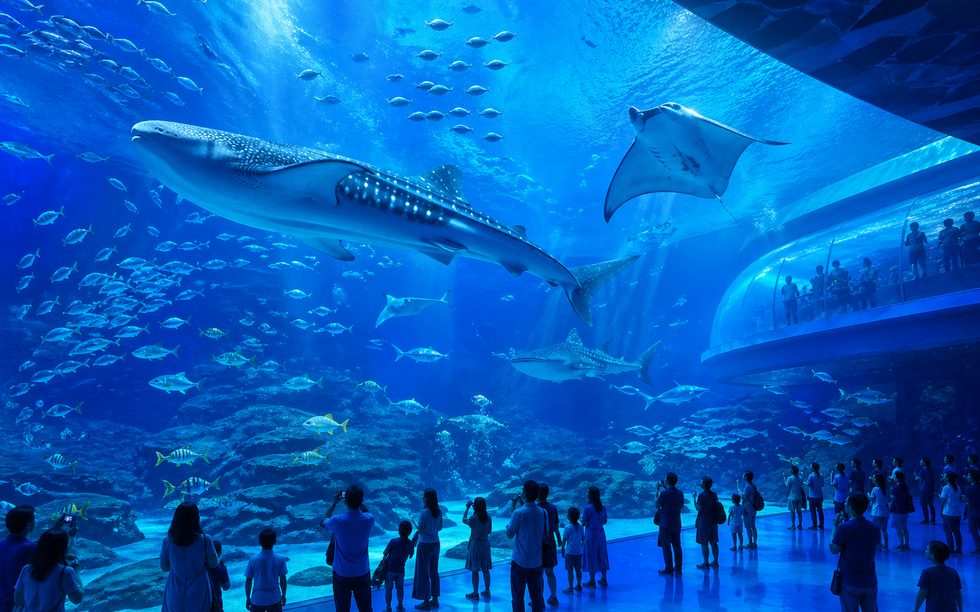 Việt Nam sắp xây dựng một công trình giải trí lớn nhất thế giới, phá bỏ kỷ lục của Trung Quốc