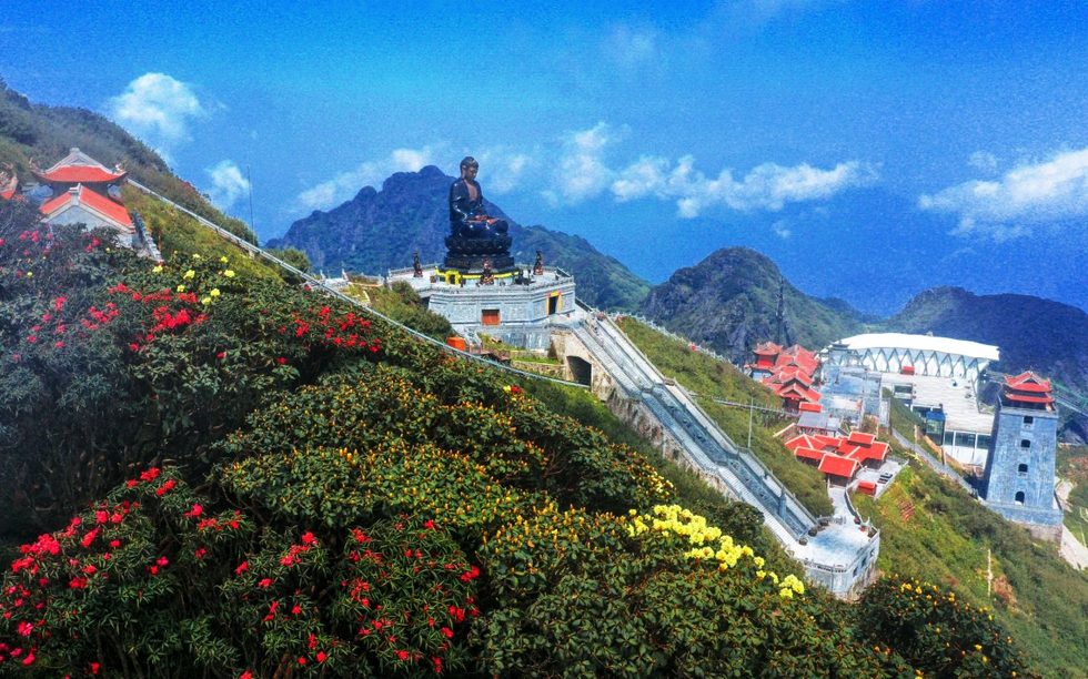 Ngỡ ngàng sắc hồng Anh đào kép phủ kín Fansipan tháng 4