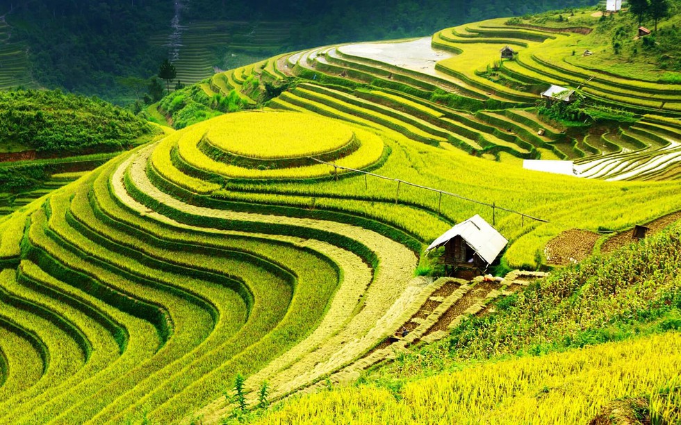 Việt Nam định vị một vùng kinh tế giữ vai trò kết nối Đông Nam Á với Trung Quốc, Trung Á và châu Âu