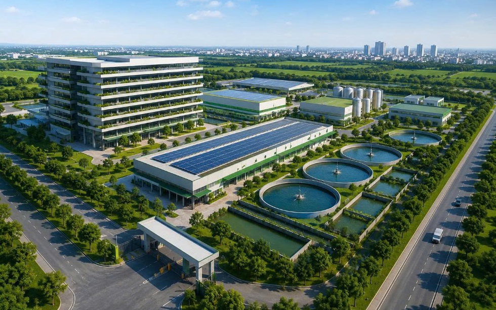 Hà Nội nghiên cứu phát triển tổ hợp chăn nuôi công nghệ cao, dự kiến đặt tại 3 xã