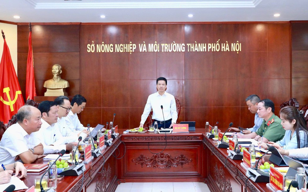 Hà Nội yêu cầu xử lý dứt điểm vướng mắc đất đai, kiên quyết thu hồi dự án không chuyển biến
