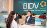 BIDV chốt trả cổ tức tiền mặt 4,5% giữa lộ trình tăng vốn hơn 26.700 tỷ đồng