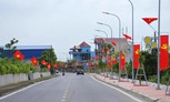 Ninh Bình đấu giá 18 lô đất tại xã Quang Hưng