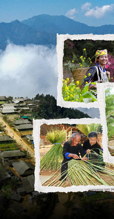 Lu cở - nhịp thở của đại ngàn