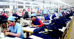Tuyên Quang: Nhiều mặt hàng xuất khẩu về đích sớm