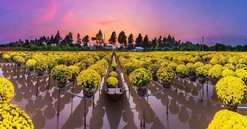 Đồng Tháp: Phát triển du lịch là 1 trong 6 trụ cột trọng tâm phát triển của tỉnh
