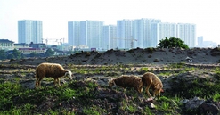 Khơi thông ách tắc đầu tư dự án