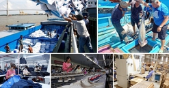 Niềm tin đã dần quay trở lại nhưng phần lớn doanh nghiệp đang “kiệt sức”