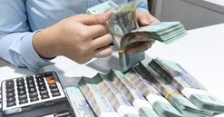 Tài khóa cần “song hành” cùng tiền tệ