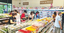 Counter-cyclical fiscal policy recommended to continue in 2024