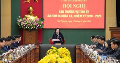 Thái Nguyên: Ban Thường vụ, Ban Chấp hành Đảng bộ tỉnh cho ý kiến vào nhiều nội dung quan trọng