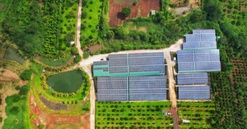 Đắk Lắk: Bất động sản nông nghiệp trên địa bàn tỉnh đang từng bước khởi sắc