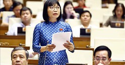 Kỳ họp thứ 8, Quốc hội khóa XV: Tránh việc tu bổ trở thành 'làm mới' di tích