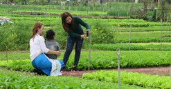Quảng Nam: Đăng cai tổ chức hội nghị quốc tế về du lịch nông thôn