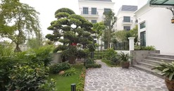 Kỳ lạ căn biệt thự 200 tỷ ‘sang – xịn – mịn’ toàn gỗ nhập tại khu nhà giàu Hà Nội, đại gia xây chỉ để lái xe và giúp việc sinh sống