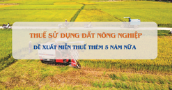 Bộ Tài chính đề xuất kéo dài chính sách miễn thuế sử dụng đất nông nghiệp đến hết năm 2030