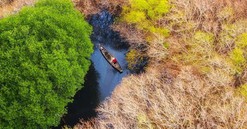 Thừa Thiên Huế: Công bố hiện trạng rừng