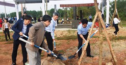 Miền Trung: Nhiều địa phương ra quân "Tết trồng cây, đời đời nhớ ơn Bác Hồ"