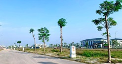 Bắc Giang: Chuẩn bị đấu giá hàng trăm lô đất