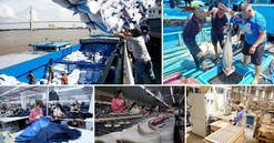 Xây dựng cơ chế thu hút nguồn lực tăng trưởng kinh tế ngay từ đầu năm