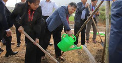 Chủ tịch VNREA tham dự Lễ phát động "Tết trồng cây đời đời nhớ ơn Bác Hồ" tại Bắc Giang