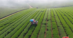 Sơn La: Thu hút dự án có vốn đầu tư nước ngoài