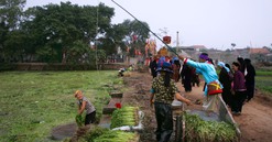 Photo Travel: Trình Trò làng Trám