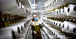 Tuyên Quang: Phát triển công nghiệp gắn với quy hoạch tỉnh