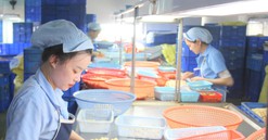 Bước tiến trong xúc tiến đầu tư ở Đắk Nông
