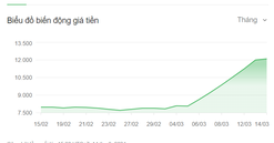 VRC giải trình lý do cổ phiếu tăng trần 40% chỉ trong 1 tuần