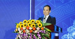 Quảng Nam: "Cần tuân thủ, linh hoạt, đồng bộ, thấu hiểu để thực hiện quy hoạch tỉnh"