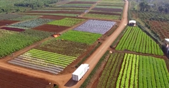 Quy hoạch tỉnh Thái Bình thời kỳ 2021 - 2030, tầm nhìn đến năm 2050: Quy hoạch sử dụng đất thúc đẩy kinh tế - xã hội phát triển