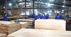Quý đầu năm, Yên Bái thu ngân sách tăng 11,4% so với cùng kỳ
